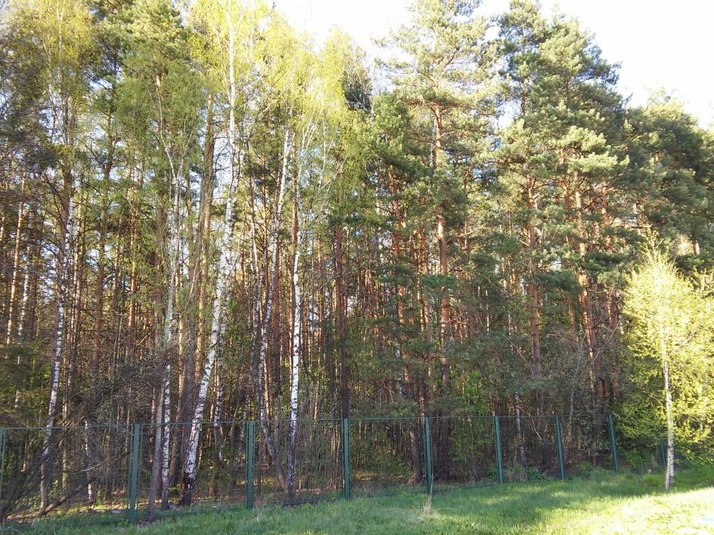 Дом престарелых Домашний уют в Орловке фото 5
