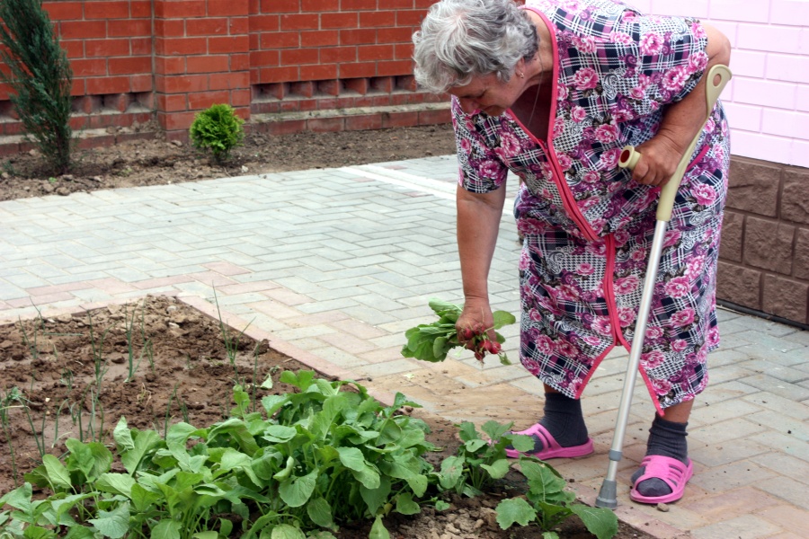Пансионат для пожилых "Олимп" Молоково фото 14