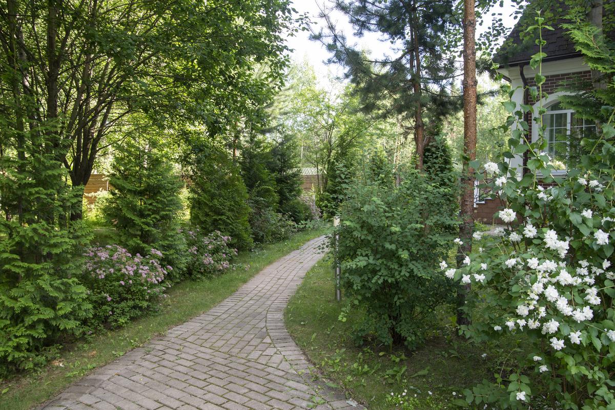 Пансионат для пожилых "Забота о близких" Истра фото 19