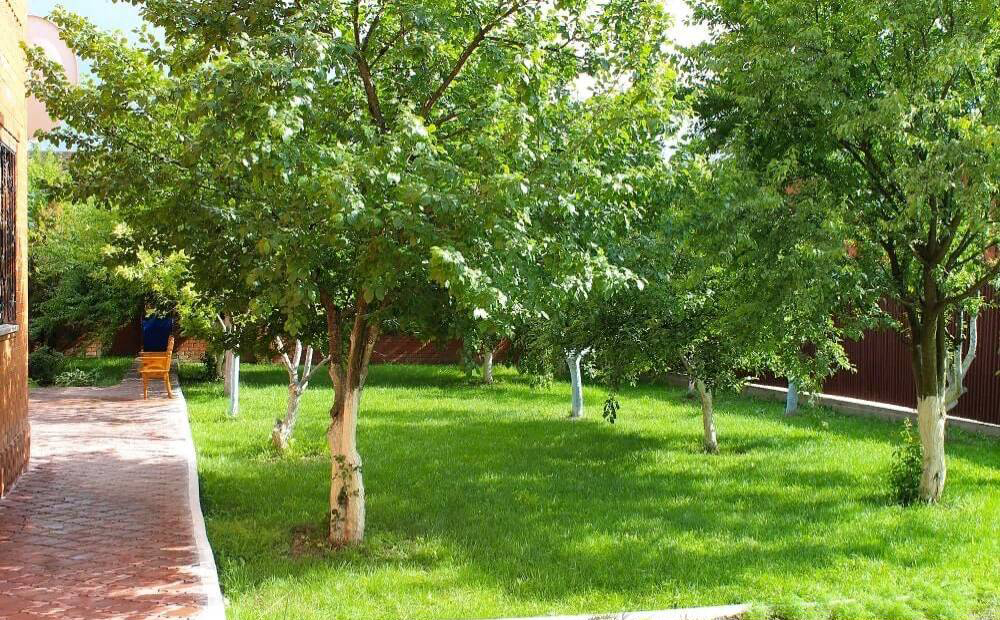 Пансионат для ветеранов в Бутово фото 8