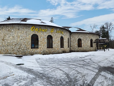 Пансионат Оазис в Барыбино