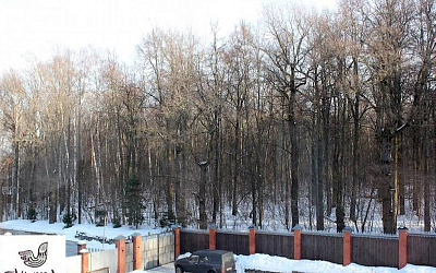 Пансионат для пожилых "Мирра" на Варшавском шоссе